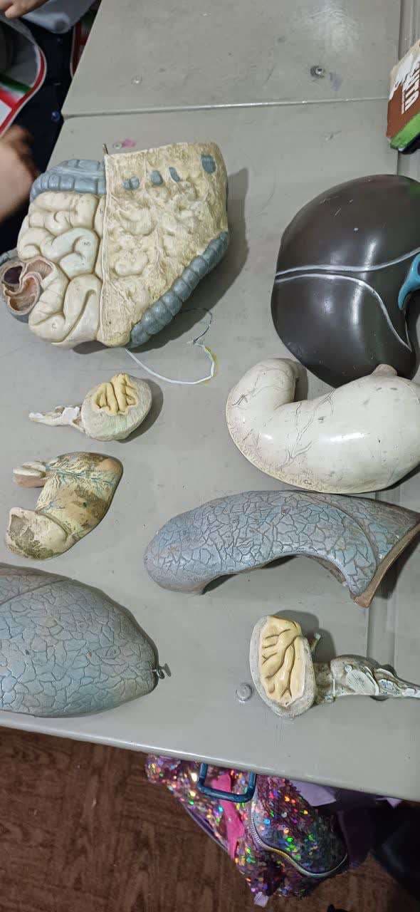 تدریس خلاق شناخت اعضای بدن (کلاس چهارم